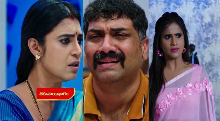 Intinti Gruhalakshmi 11 Nov Today Episode : లాస్య అంటే ఇష్టం లేదని తులసితో చెప్పిన నందు.. తులసి, నందు.. ఇద్దరూ మళ్లీ పెళ్లిచేసుకోబోతున్నారా?
