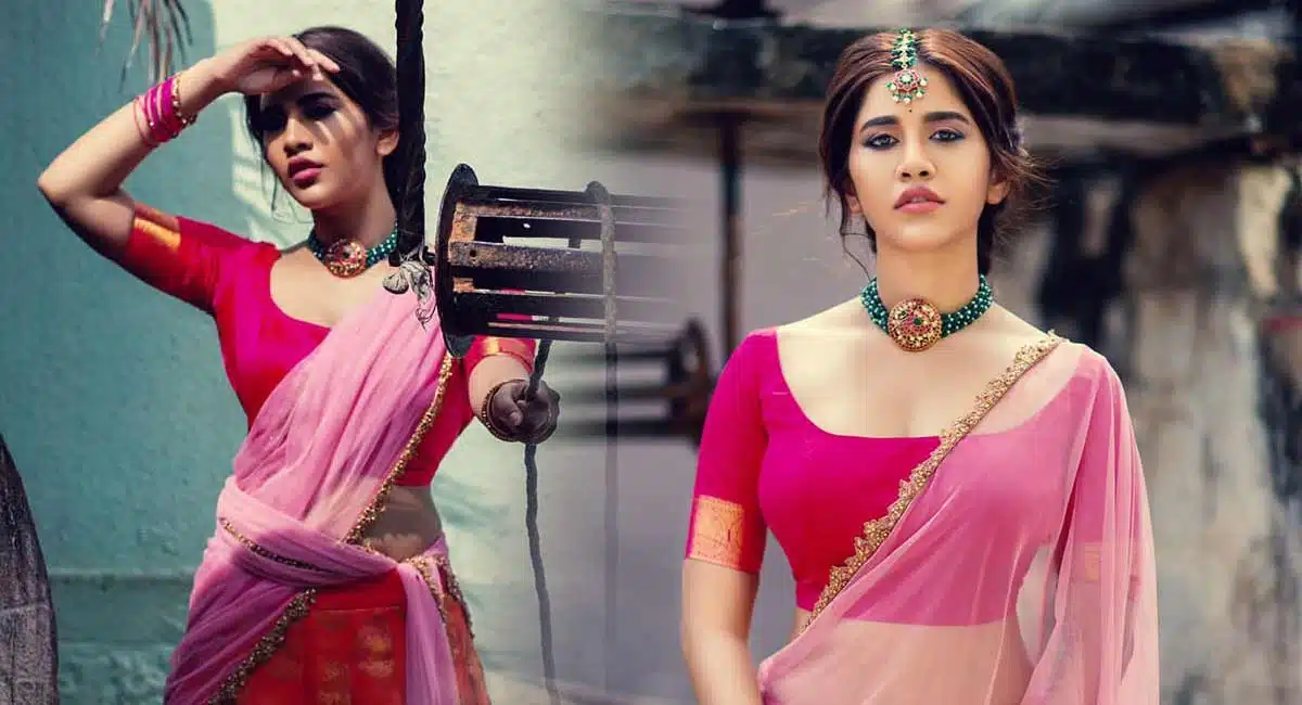 Nabha Natesh : బావిలోంచి నీళ్లు తోడుతున్న ఇస్మార్ట్ బ్యూటీ.. నభా అందాల జాతర