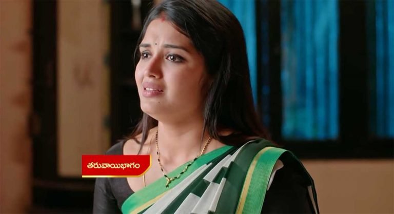 Janaki Kalaganaledu 10 Nov Today Episode : రామా, జానకి ముద్దు పెట్టుకుంటుండగా చూసి మైరావతి, జ్ఞానాంబ షాక్.. జానకికి పెద్ద శిక్ష వేసిన మైరావతి