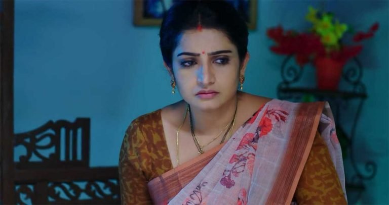 Vadinamma 8 Nov Today Episode : రఘురామ్ పై శైలూ సీరియస్.. బాబును ముట్టుకోవద్దంటూ వార్నింగ్.. రఘురామ్ పై లక్ష్మణ్ మండిపాటు