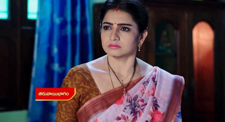 Vadinamma 7 Nov Today Episode : రిషి మీద మీకు ఏమాత్రం హక్కు లేదు అని శైలూ, లక్ష్మణ్ కు చెప్పిన సీత.. ఈ విషయం తెలిసి శైలూ షాకింగ్ నిర్ణయం?