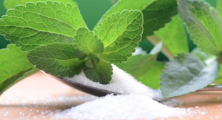 Diabetes : డ‌యాబిటిస్ వ్యాధి గ్ర‌స్తుల‌కు ఈ ఆకులు దీవ్య ఔష‌దం… చ‌క్కెర‌కు బ‌దులు ఈ ఆకులు వాడితే ఏమ‌వుతుందో తెలుసా?