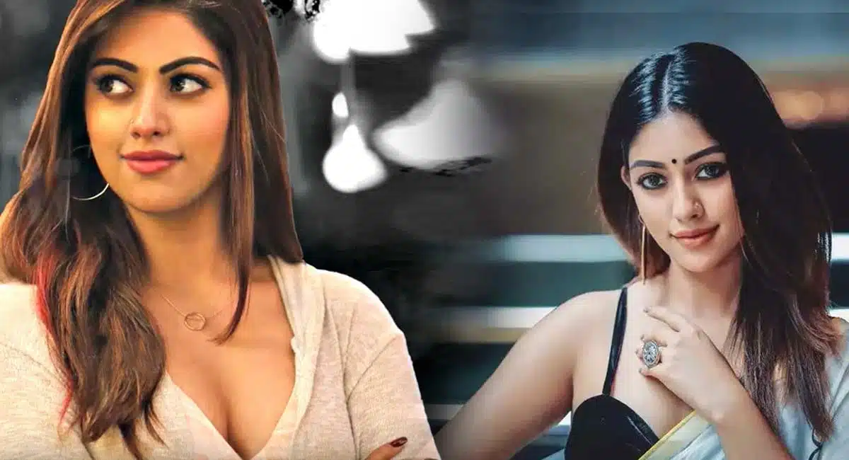 anu emmanuel love afair with star hero brother