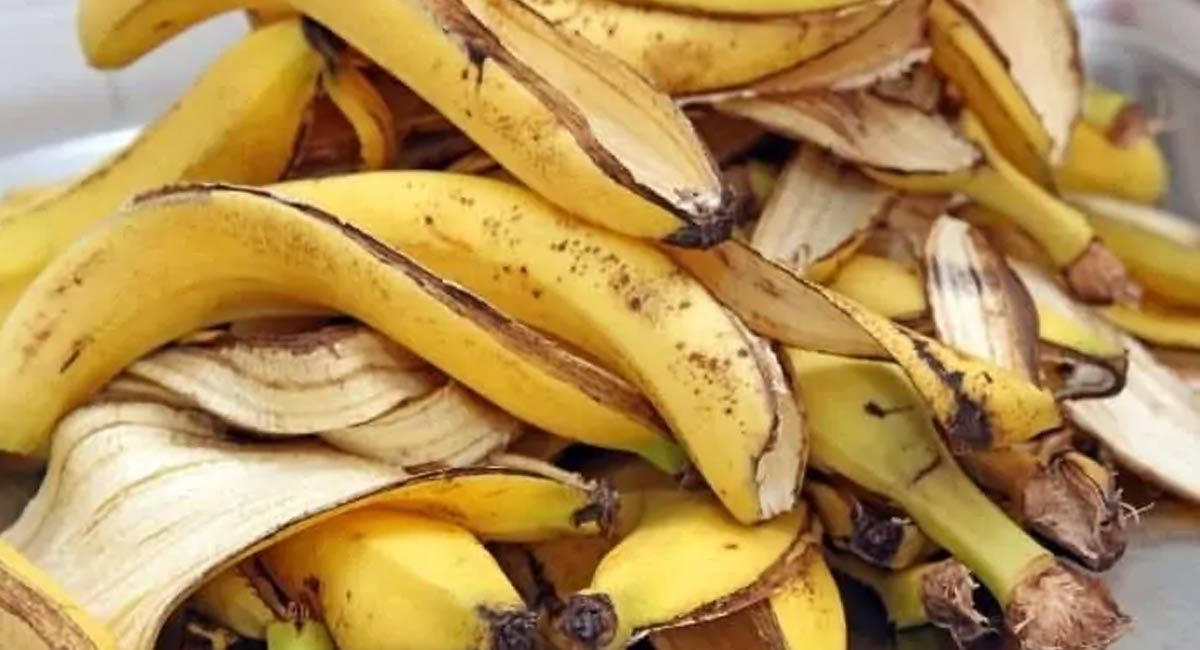 Banana Peel : తొక్కే కదా అని ఈజీగా పడేస్తున్నారా.. అరటి తొక్కతో ఆరు అద్భుత లాభాలెంటో మీకు తెలుసా..!