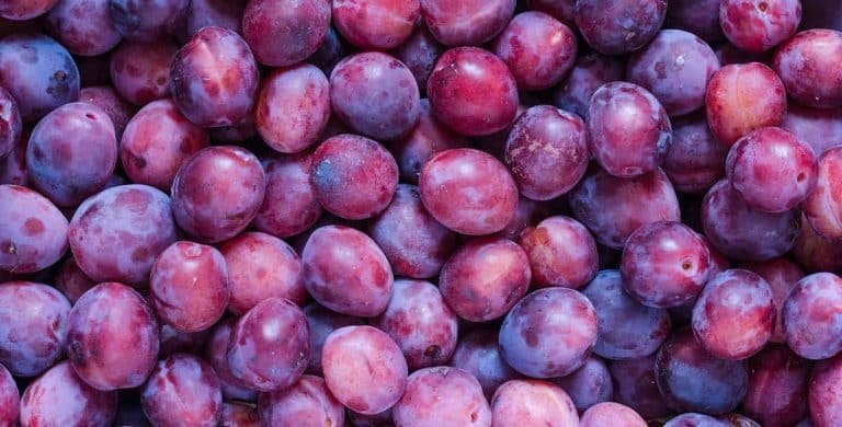 Plums Benefits: రేగు పళ్లతో వెయిట్ లాస్ ప్లస్.. బోలెడు బెన్‌ఫిట్స్..