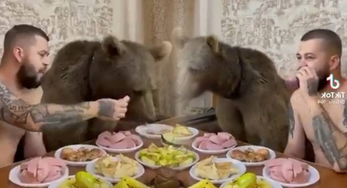 bear eating food with man while watching cartoon video viral