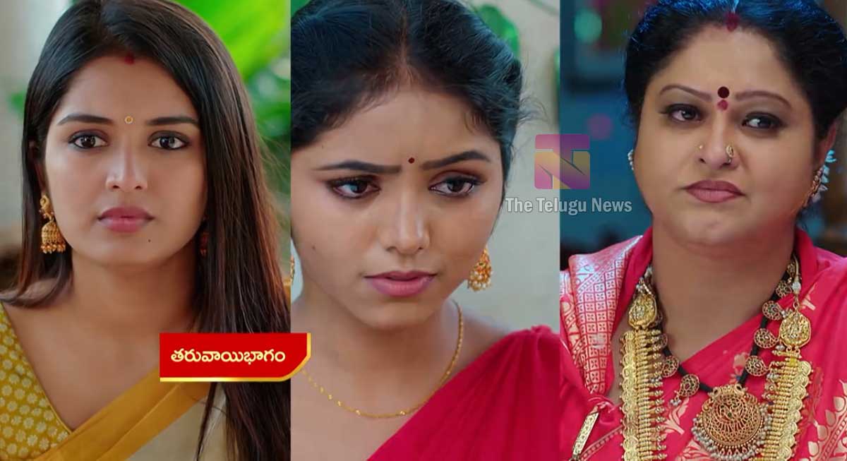 Janaki Kalaganaledu 27 Dec Today Episode : వెన్నెల ప్రేమ గురించి మల్లిక చెప్పినా నమ్మని జ్ఞానాంబ.. జానకికి చెప్పి ఏడ్చిన వెన్నెల.. దీంతో జానకి షాకింగ్ నిర్ణయం  