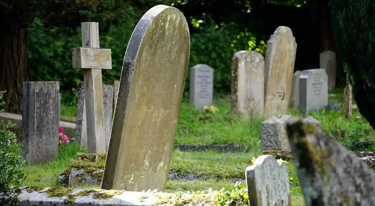 son who dug the grave and took out dead body for mother love