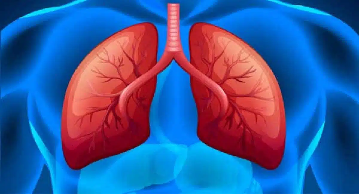 Eat thes food items to improve lung health