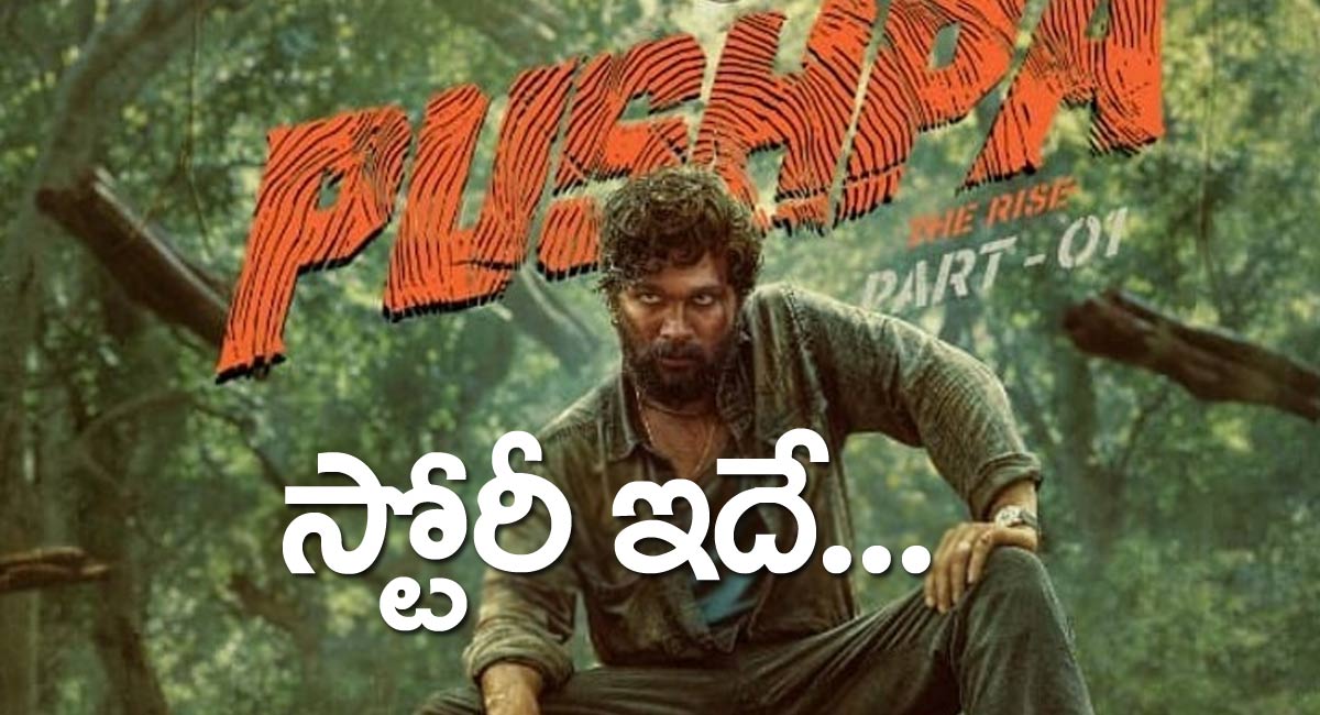 Pushpa Movie Story : అల్లు అర్జున్ ‘పుష్ప’ రాజ్ స్టోరి ఇదే.. స‌వ‌తి సోద‌రుల క‌థ‌..!