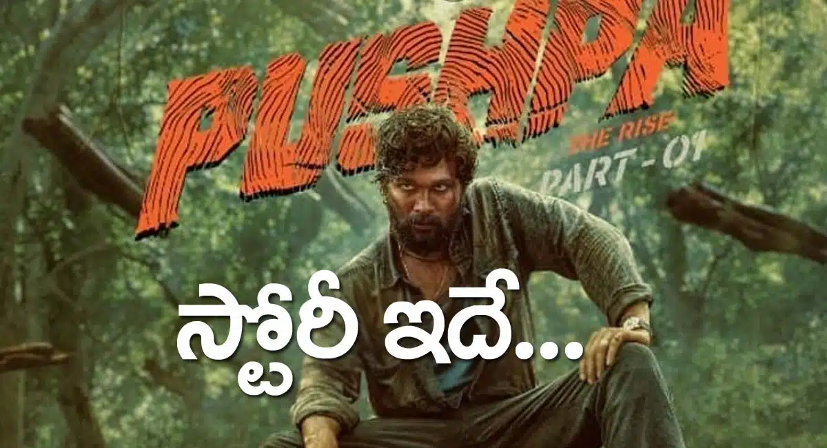 Allu arjun pushpa Movie story and Review