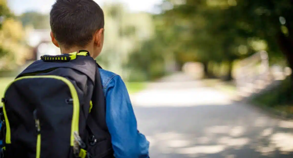 snake bites to school student in ananthapuram
