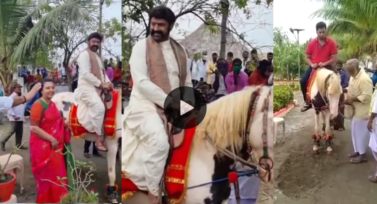 Balakrishna : గుర్రం చేత డ్యాన్స్ చేయించిన బాల‌కృష్ణ ఆయ‌న త‌న‌యుడు.. నెట్టింట హ‌ల్ చ‌ల్ చేస్తున్న వీడియో