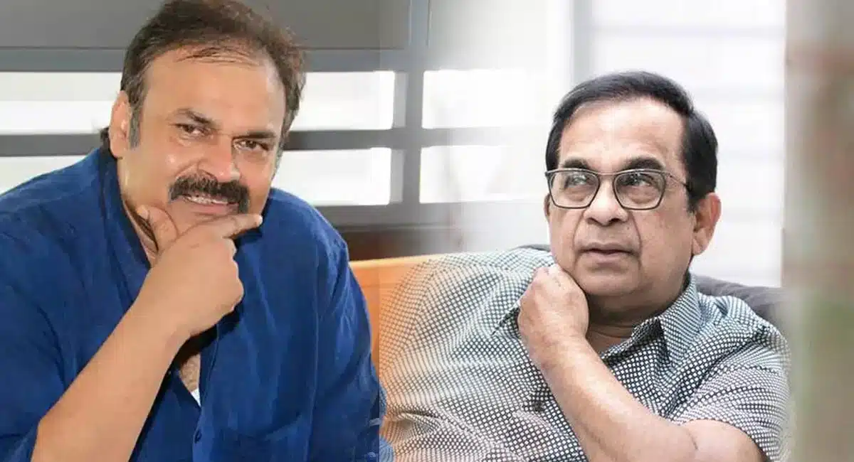 nagababu interesting comments on brahmanandam