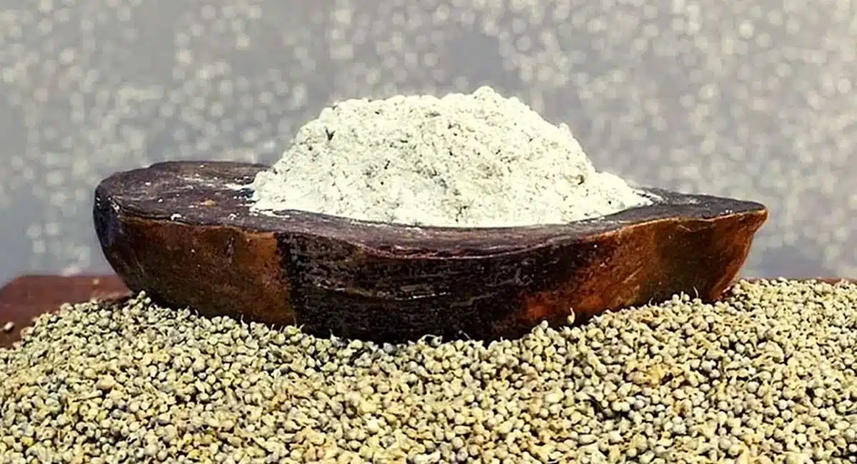 Chapatis Will Improve Your Immunity Power If You Eat