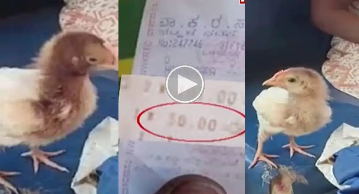 conductor who hit the ticket for chick