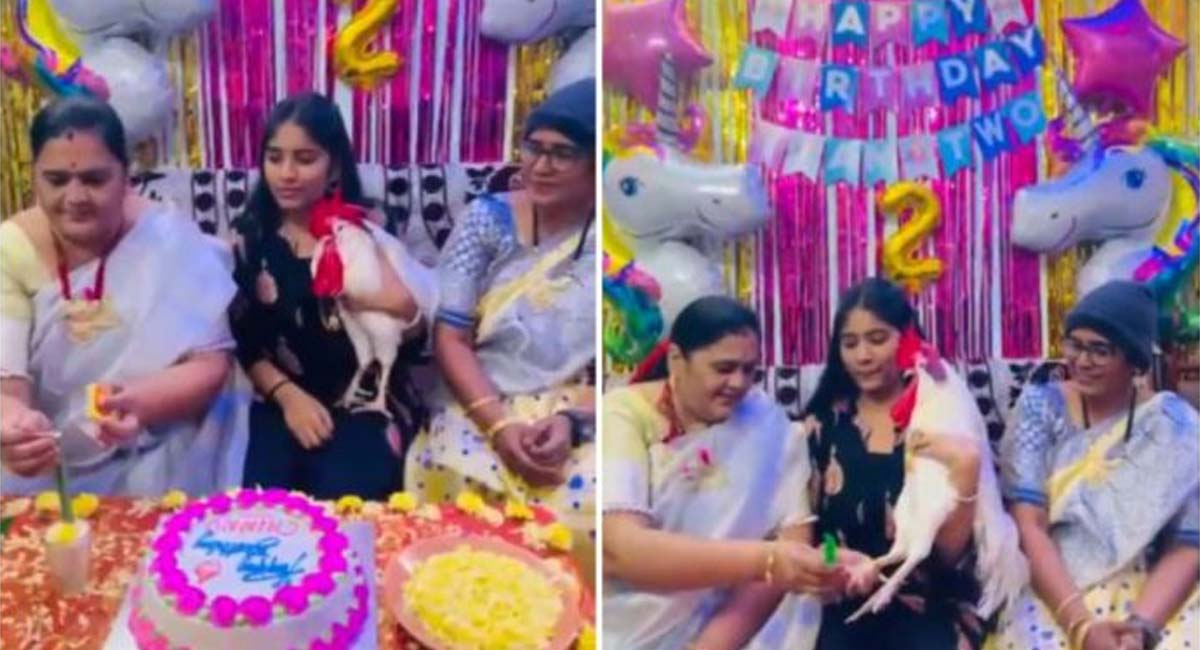 Hen cock Birthday : గ్రాండ్ గా కోడి పుంజు బర్త్ డే.. నెట్టింట వైరలవుతోన్న బుల్లి పుంజు వేడుకలు..!