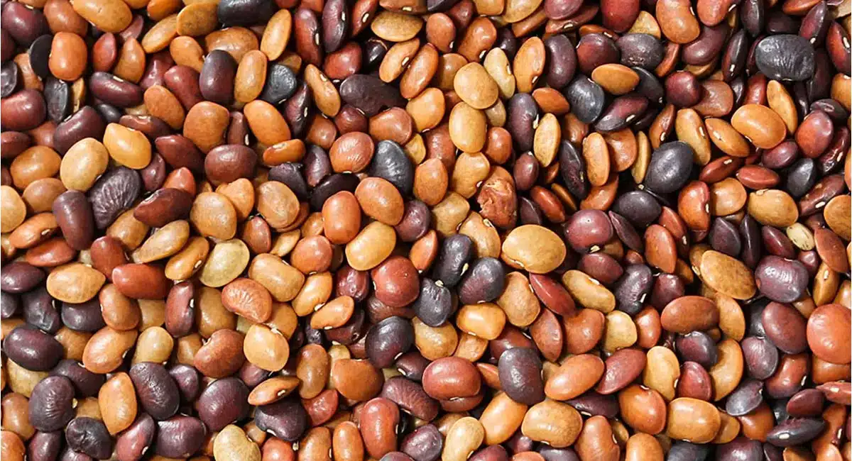 horse gram Health benefits
