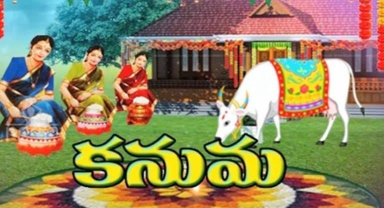 Kanuma Festival : కనుమ పండుగ నాడు ఏం చేయాలి ?