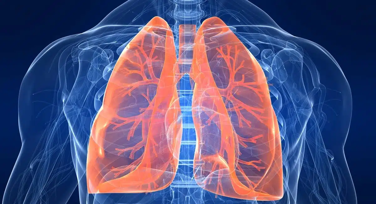follow these tips for lungs health