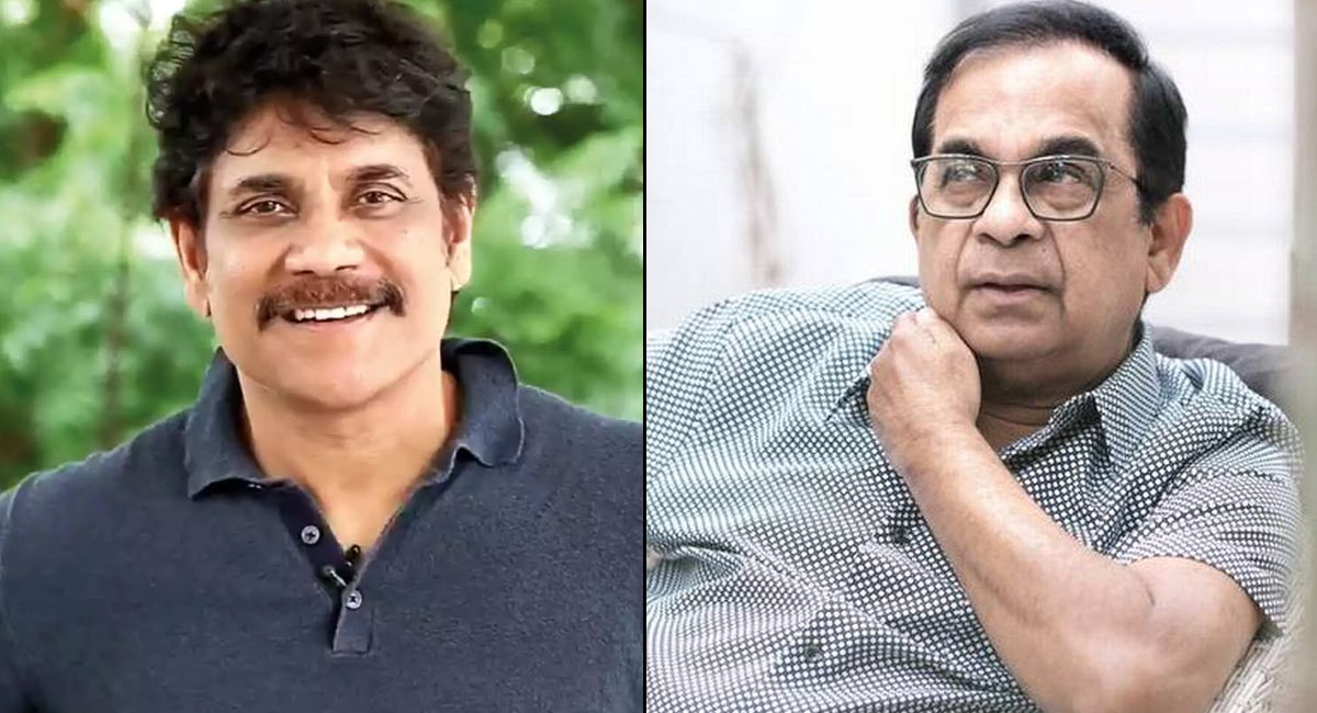 Nagarjuna : బ్ర‌హ్మానందంతో ఆ స‌మ‌స్య ఉంది.. అందుకే తీసుకోలేద‌ని చెప్పిన నాగార్జున‌