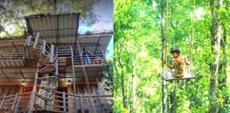 couple builds eco friendly tree house with jamun tree in kerala munnar