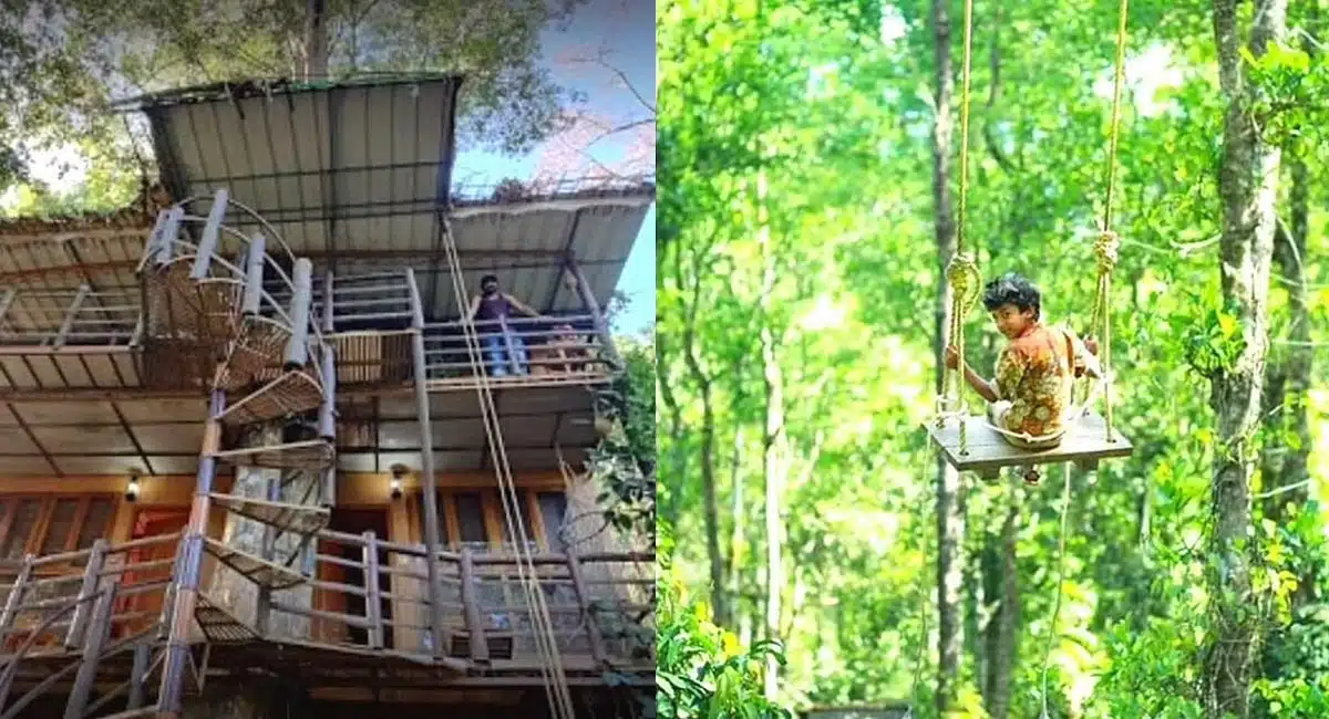 couple builds eco friendly tree house with jamun tree in kerala munnar