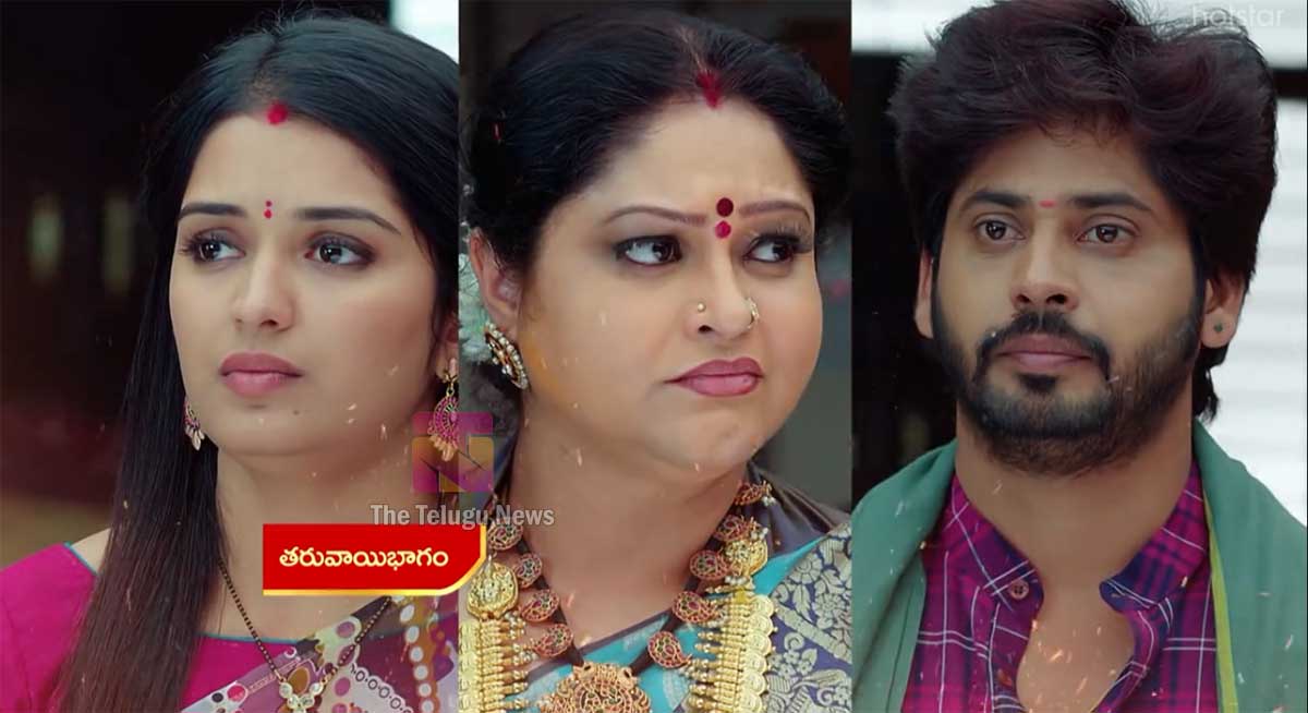 Janaki Kalaganaledu 31 Jan Today Episode : జానకికి చదువంటే ప్రాణం అని జ్ఞానాంబకు చెప్పిన రామా.. దీంతో జ్ఞానాంబ షాకింగ్ నిర్ణయం.. ఇంతలో మరో ట్విస్ట్