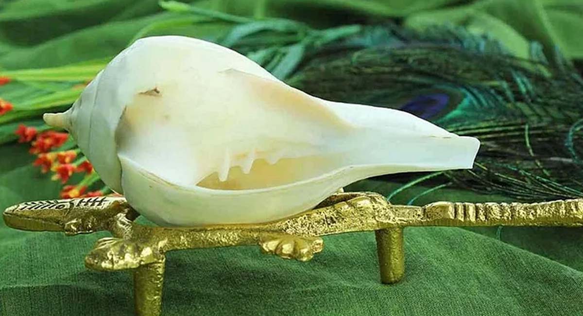 Conch Shell : మీ ఇంట్లో శంఖం ఉందా? అయితే.. మీరు ఈ విషయాలు ఖచ్చితంగా తెలుసుకోవాల్సిందే?