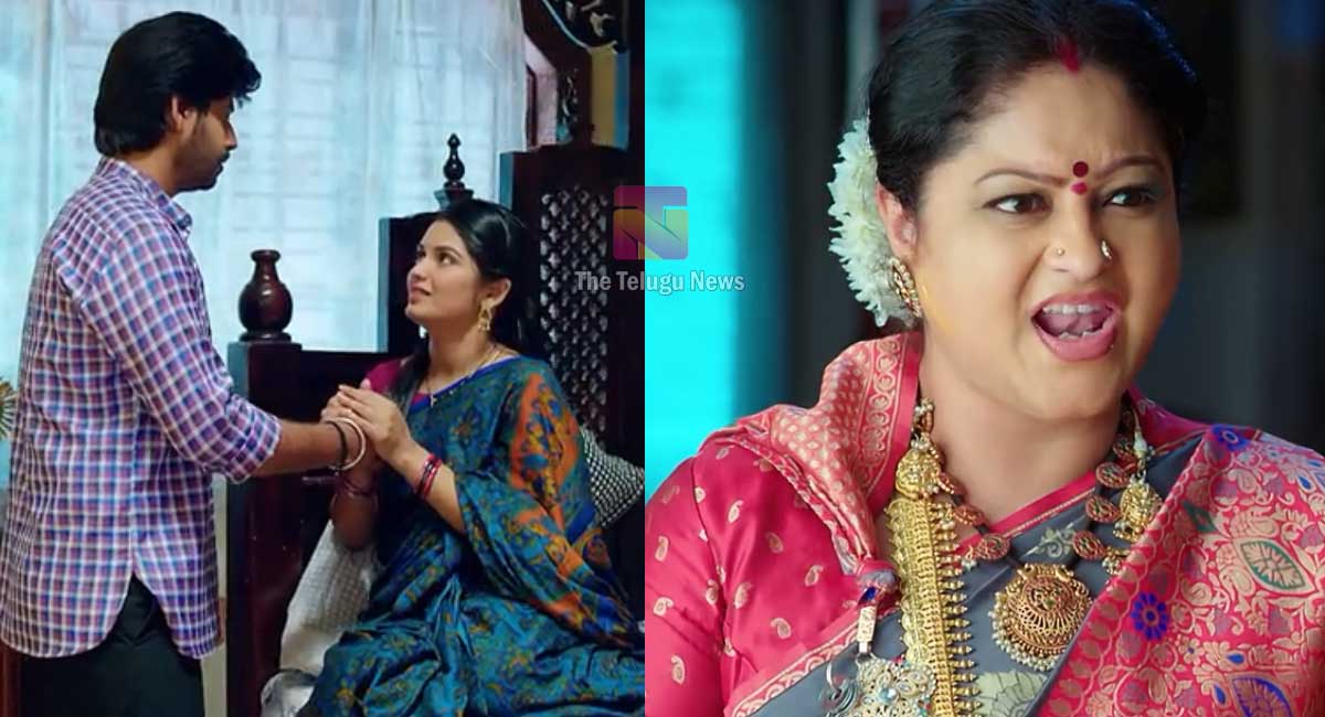 Janaki Kalaganaledu 24 Jan Today Episode : జ్ఞానాంబకు అసలు నిజం చెప్పిన కన్నబాబు.. రామాను చంపించేందుకు సునంద ప్లాన్.. ఈ విషయం జ్ఞానాంబకు తెలుస్తుందా?