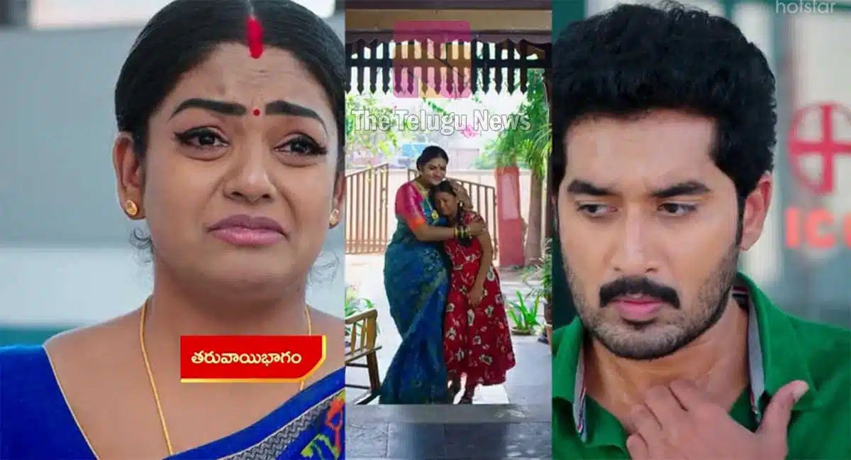 karthika deepam 31 january 2022 episode highlights