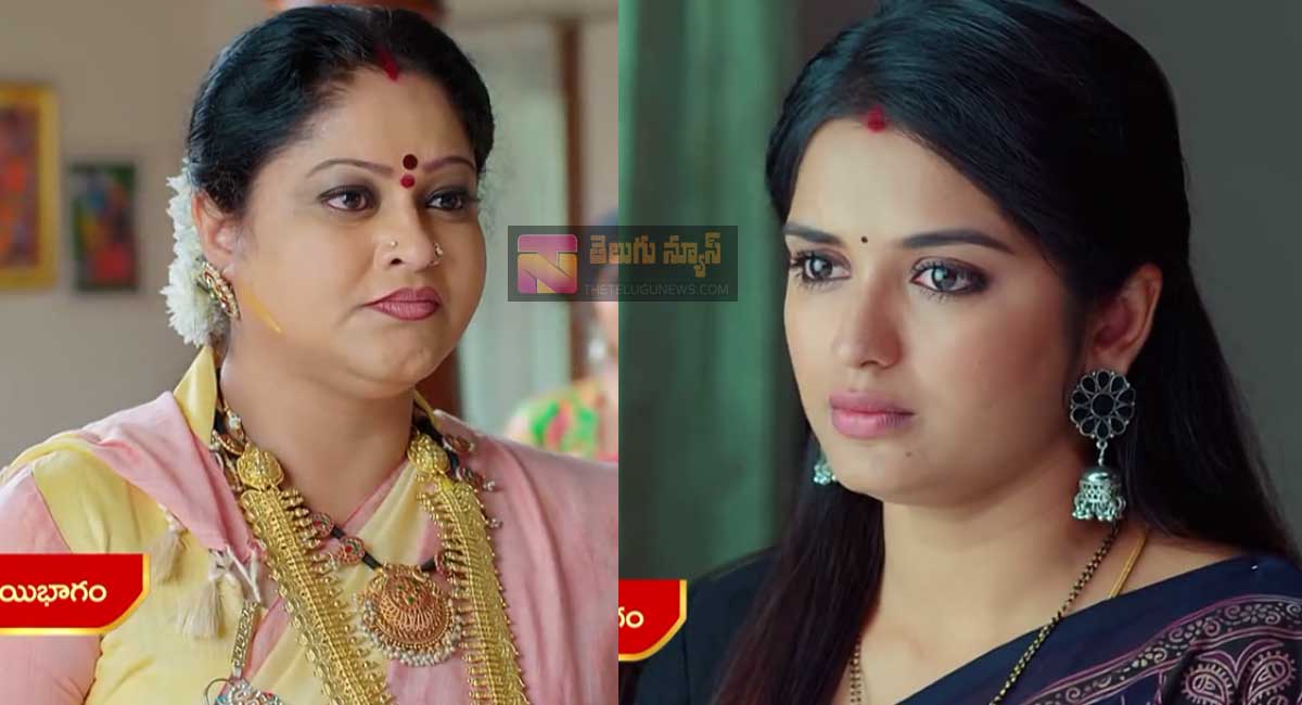 Janaki Kalaganaledu 17 Jan Episode Highlights : జానకి ఖేల్ ఖతం.. జ్ఞానాంబ ఇంటితో రామాతో తెగిన జానకి బంధం.. అంధకారంలో తన భవిష్యత్తు?