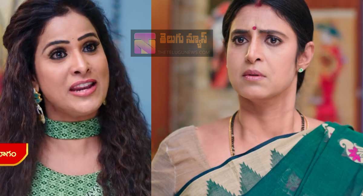 Intinti Gruhalakshmi 17 Jan Episode Highlights : ఇక వసంత ఈ ఇంట్లో ఉండకూడదు అంటూ తులసి హుకుం జారీ.. నువ్వెవరు అంటూ తులసిపై లాస్య సీరియస్