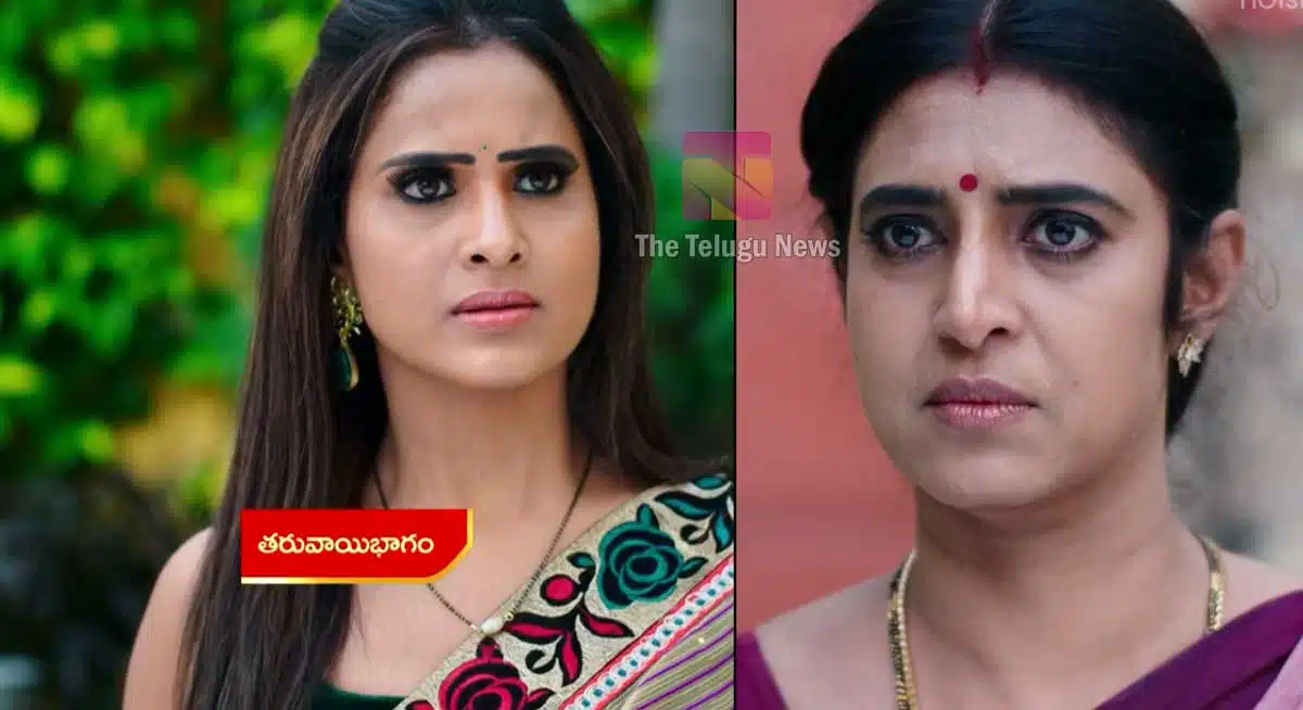 intinti gruhalakshmi 31 january 2022 episode highlights