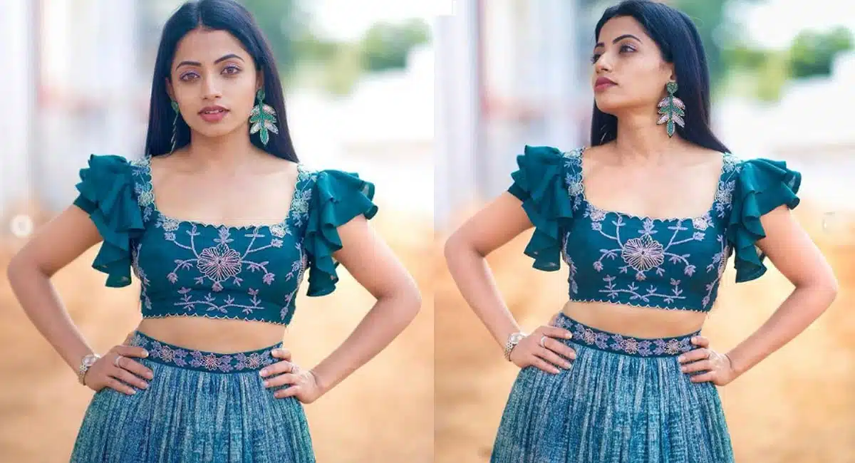 Netizen Satires On ravi Krishna Comments On Navya swami Pic