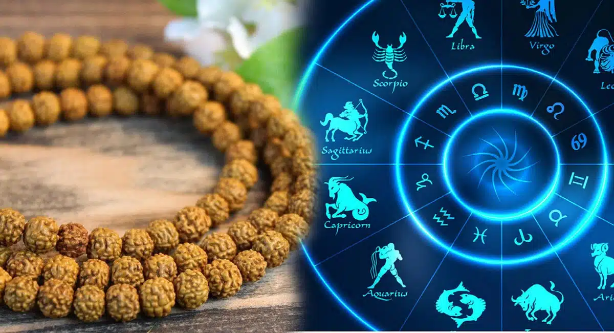 rudraksha astrological predictions for wearing rudrakshas