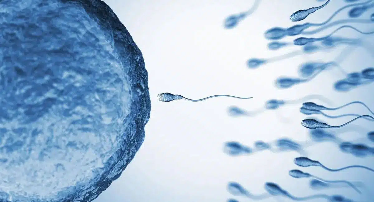 infertility issues by taking this juice you can solve