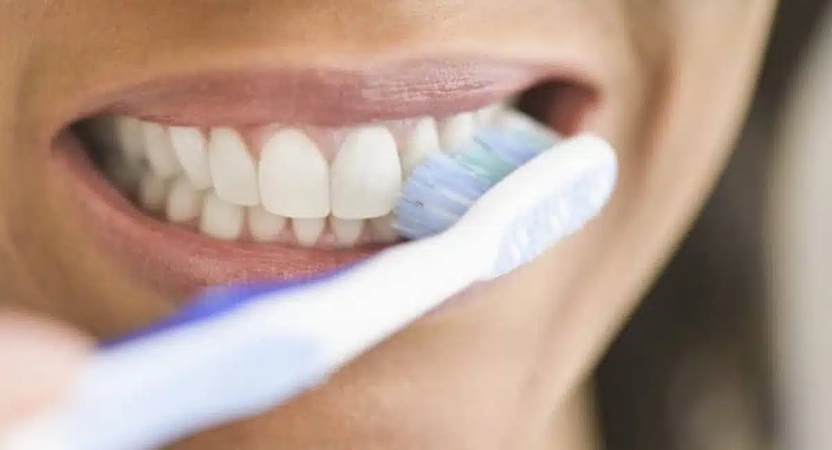 what it was like in the early days of the tooth brush