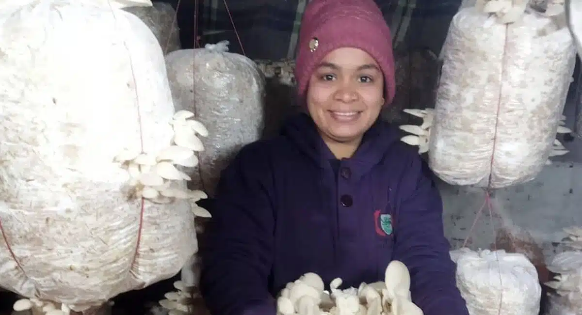 women from uttarakand earning lots money with mushroom farming