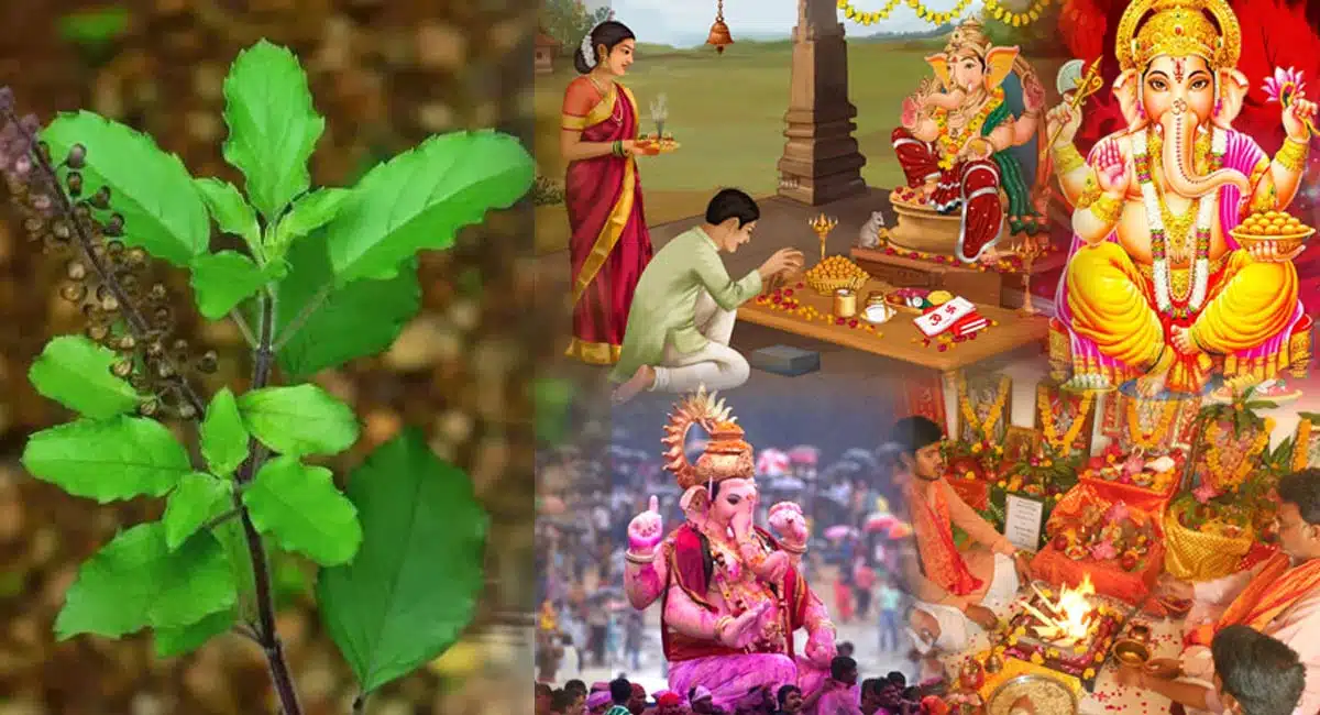 reason behind the do not using thulasi in Ganesh Pooja