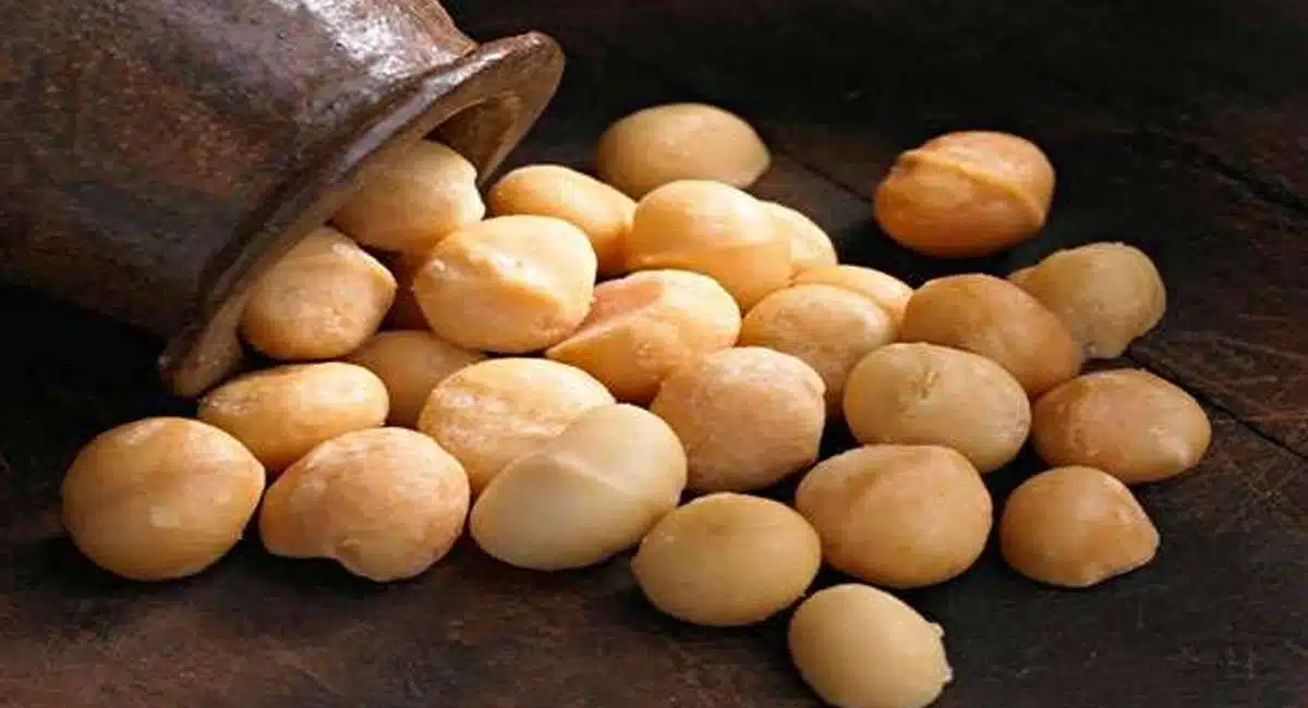 health tips eat these dry fruits to lose fat