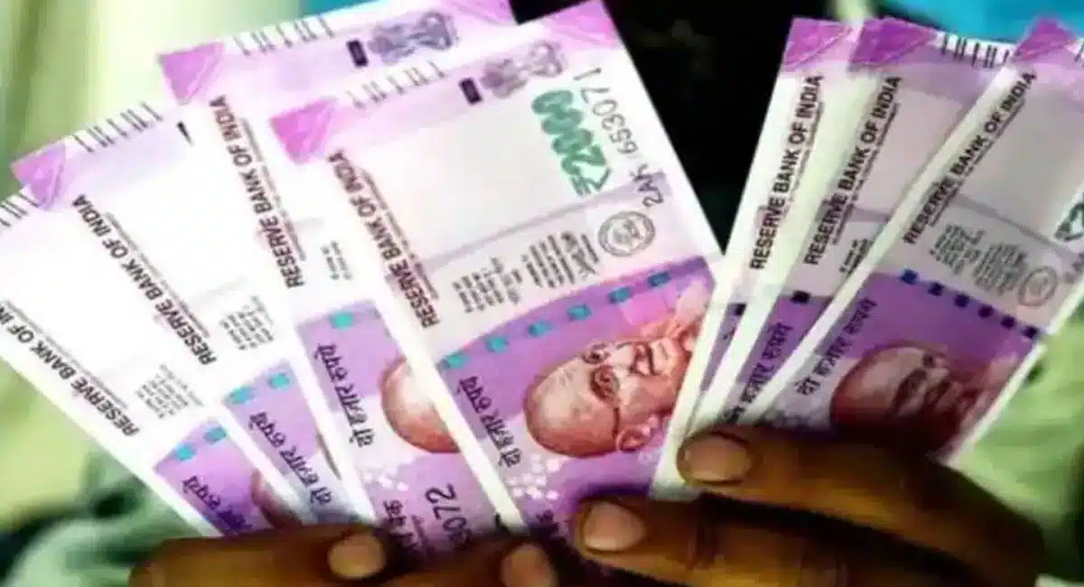 Best Business Money Factory with Low Investment