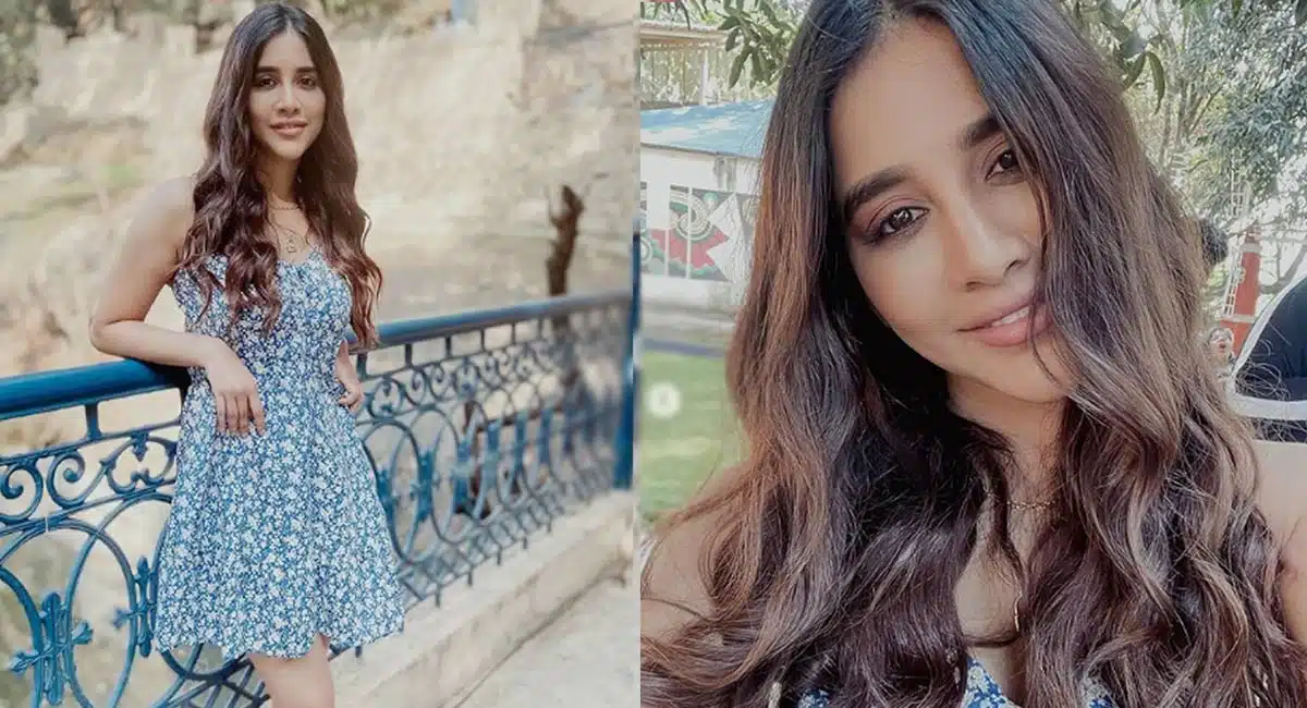 Nabha Natesh latest photos in viral