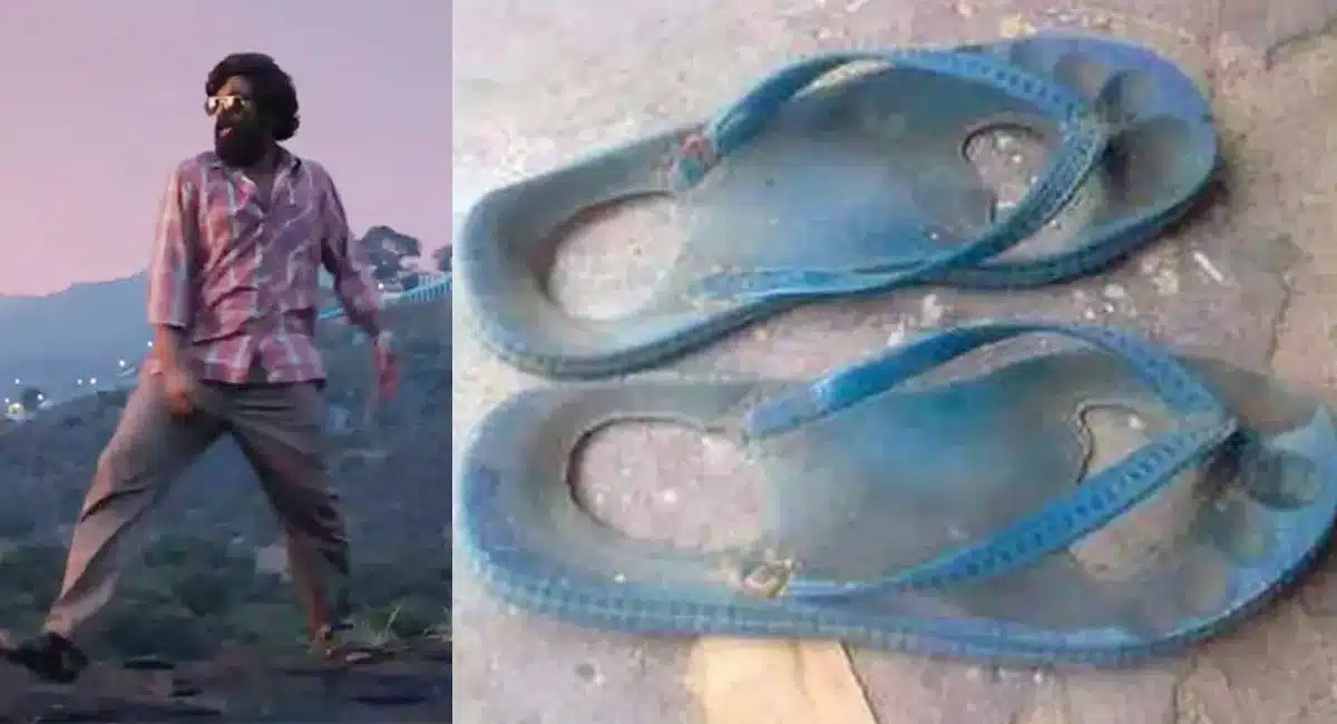the relationship between chappal and pushpa movie