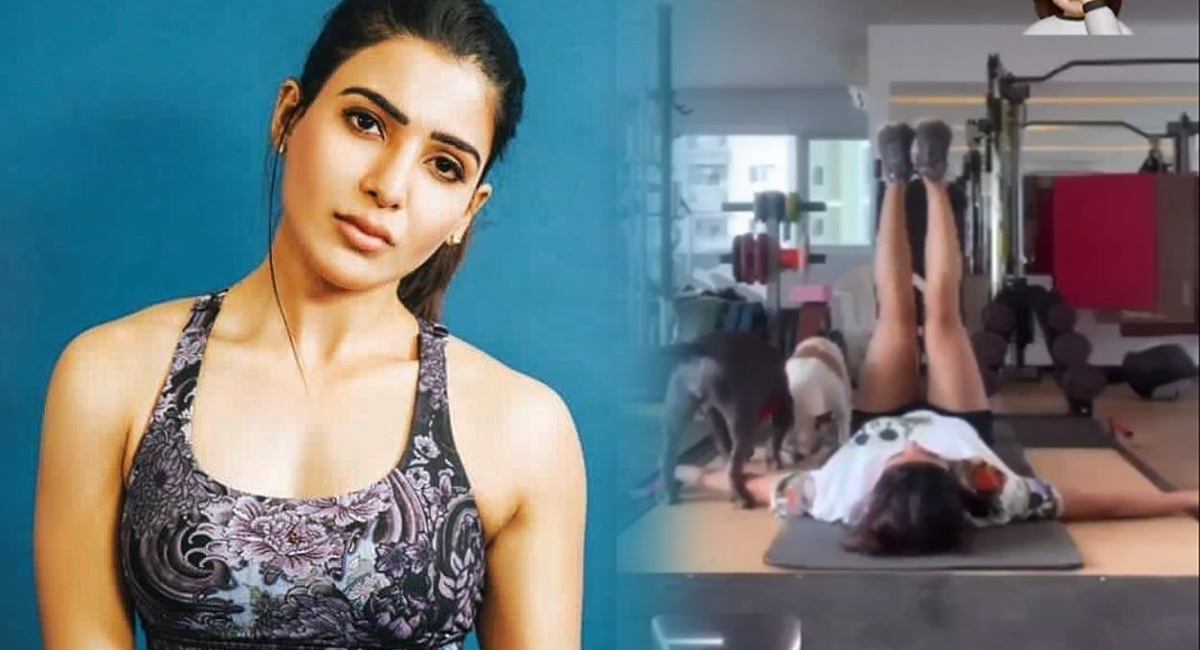 Samantha : ఇదేంటి స‌మంత.. కుక్క‌ల‌తో జిమ్ వ‌ర్కౌట్స్ ఏంటి..?