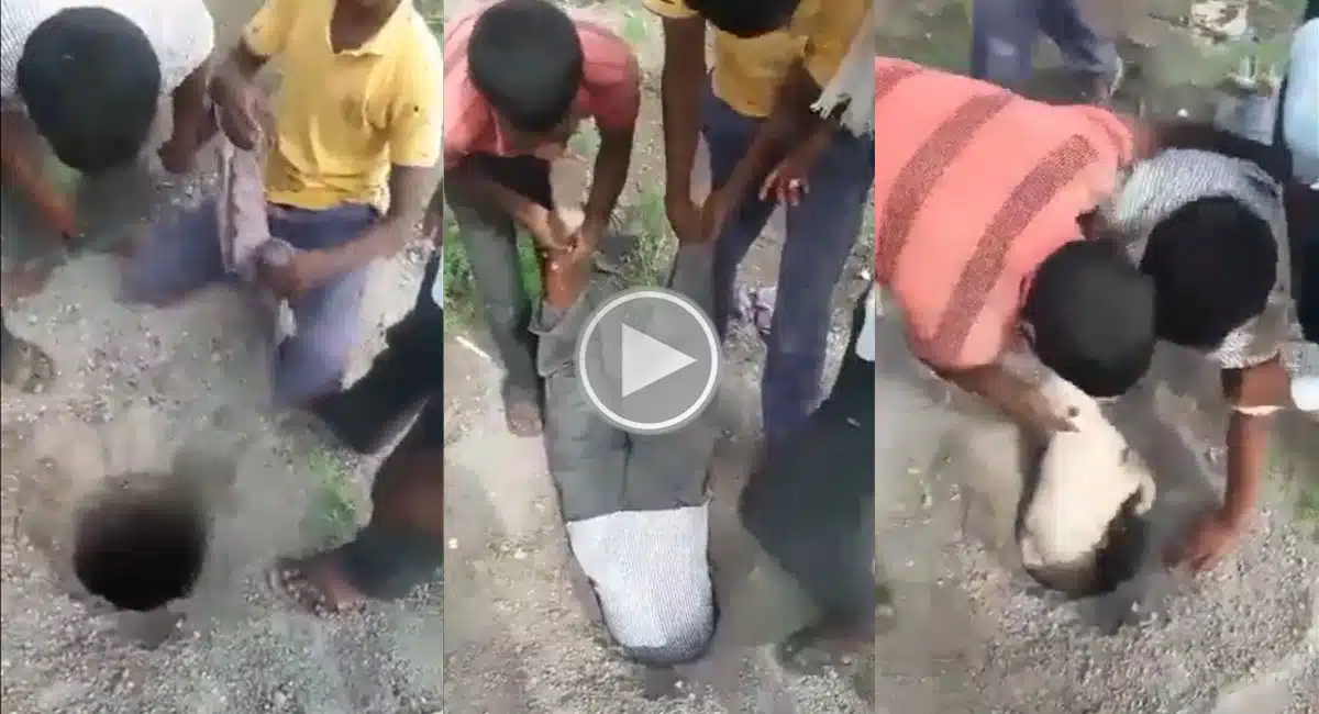 viral video five members rescue operation for saving animal