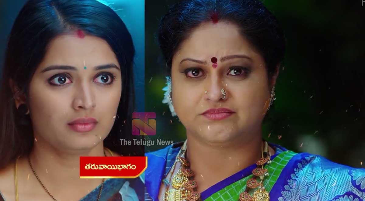 Janaki Kalaganaledu 1 Feb Today Episode : జానకి ఐపీఎస్ గురించి జ్ఞానాంబ తీసుకున్న నిర్ణయం విని జానకి, రామా షాక్.. ఇంతలో మరో ట్విస్ట్