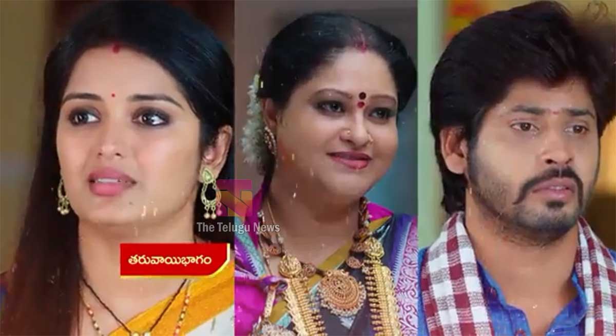 Janaki Kalaganaledu 14 Feb Today Episode : మల్లికపై రెచ్చిపోయిన తలుపులమ్మ.. వెన్నెల పెళ్లి ఆపడం కోసం జానకి, రామా మాస్టర్ ప్లాన్.. ఆ విషయం తెలిసి జ్ఞానాంబ‌ షాకింగ్ నిర్ణయం  