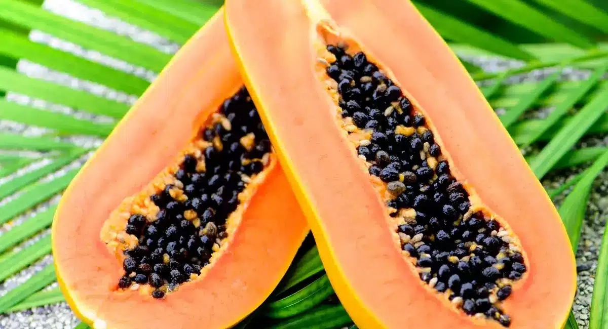 advantages and disadvantages of papaya