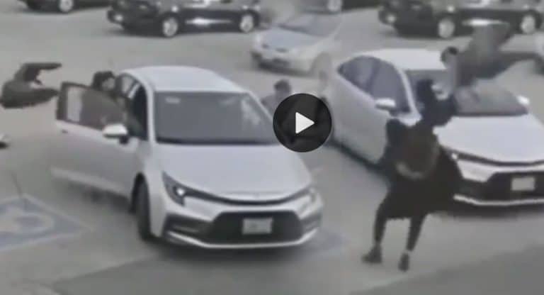 Viral Video : అరేయ్ ఏంట్రా ఇది.. బాతు ఇలా దాడి చేస్తోంది..!